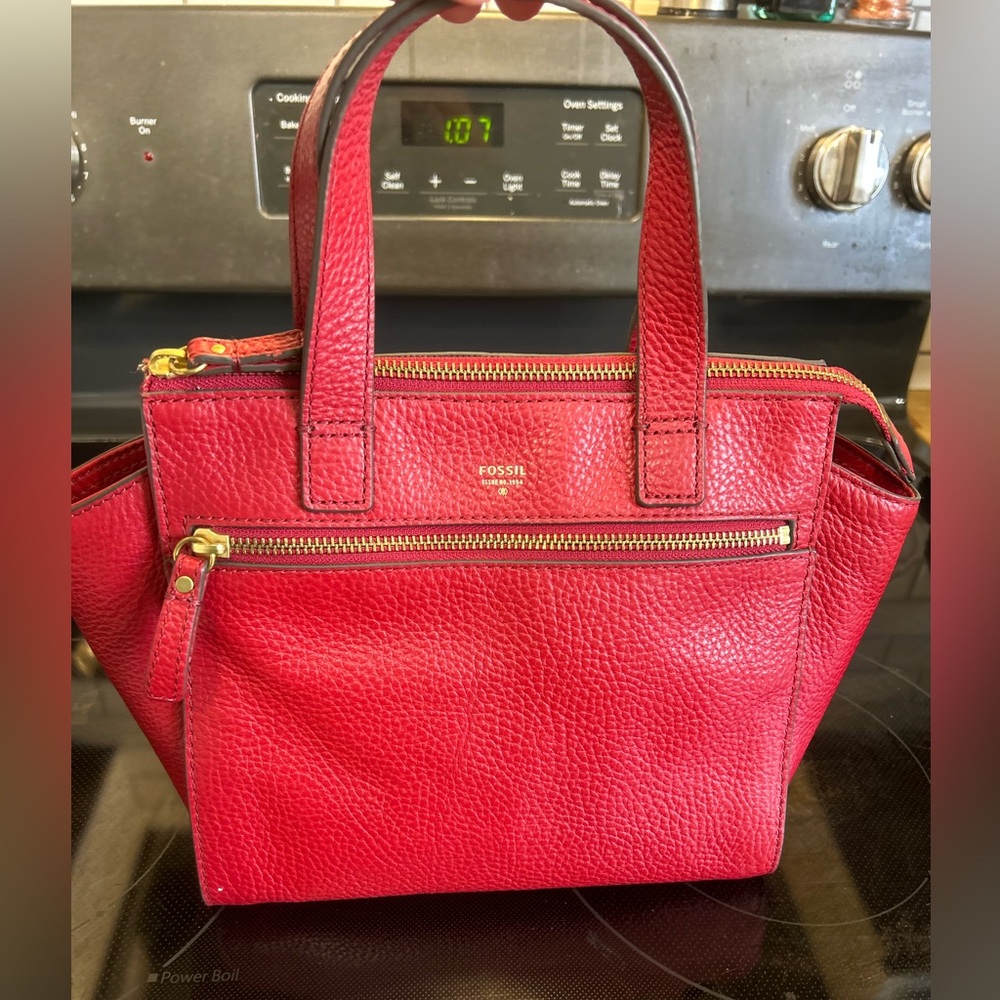 Fossil purse